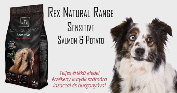 Rex Natural Range Sensitive - Salmon & Potato lazacos burgonyás hipoallergén szárazeledel - imagine 3